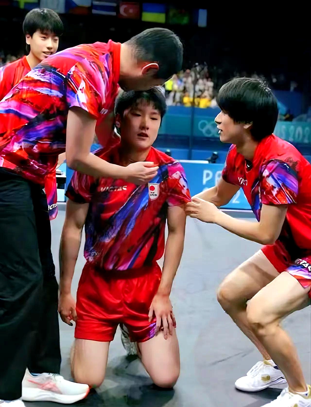 波兰队逆转瑞典队，张本智和高光表现的简单介绍